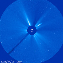 Images of the solar corona